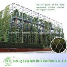 Green Plant Klettern Seil Netting